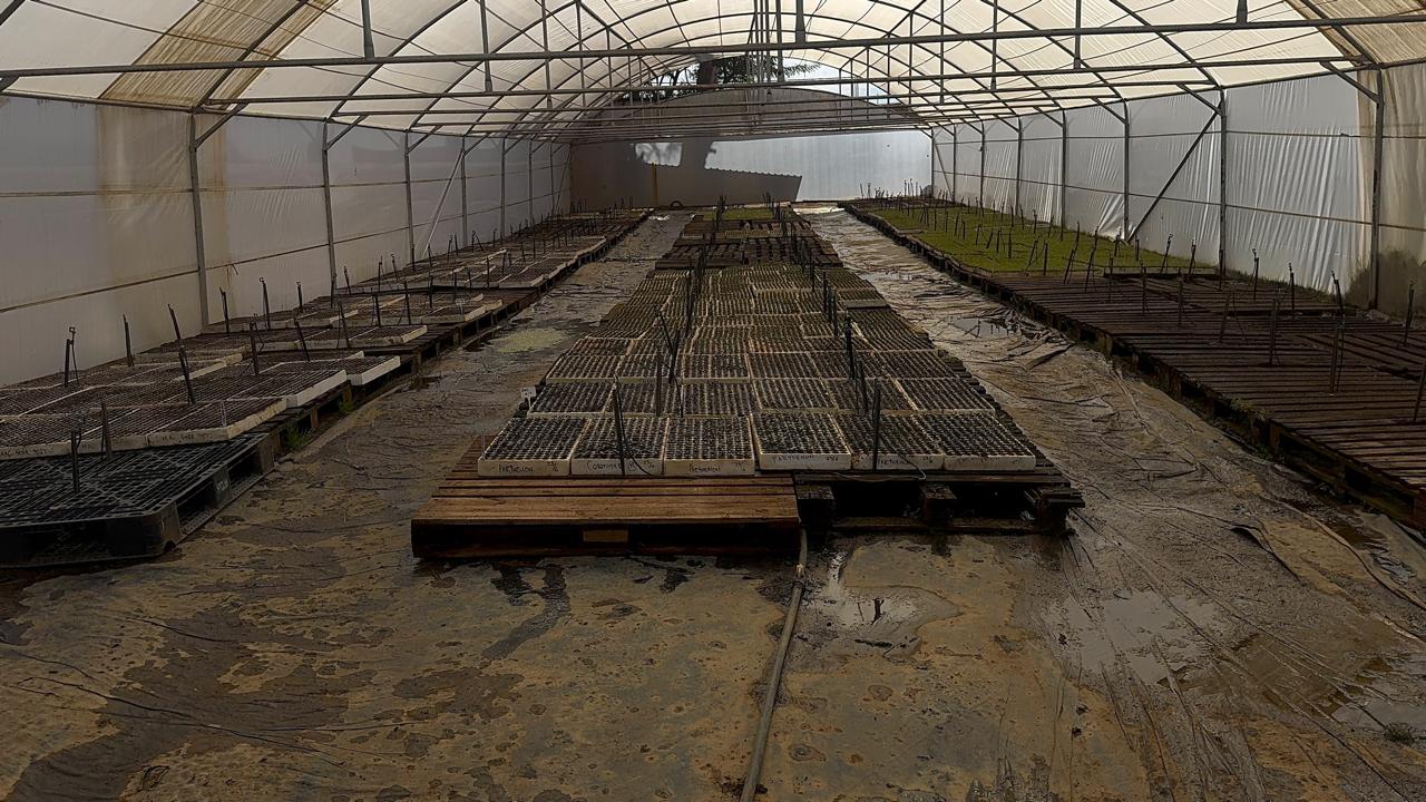 Greenhouse nursery for agricultural skills development